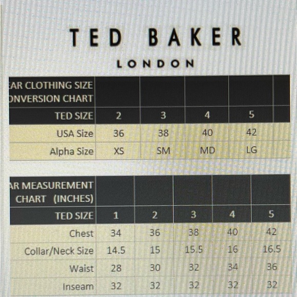 EUC! TED BAKER London Derry Flat Knit Polo Shirt Grey-Size 3 (Adult Small) - Picture 3 of 10